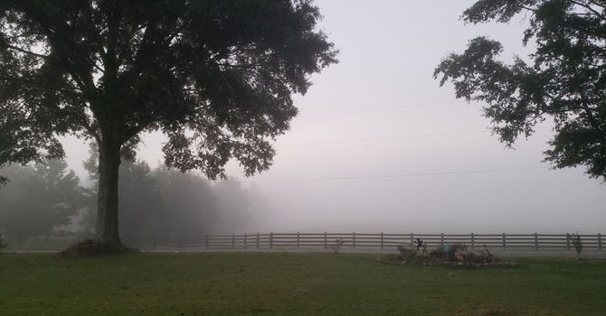 I Shall Not Want: A Reflection image