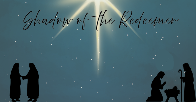 Shadow of the Redeemer: Providence For the Redeemed
