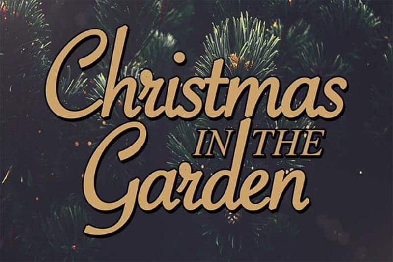 Christmas in the garden.