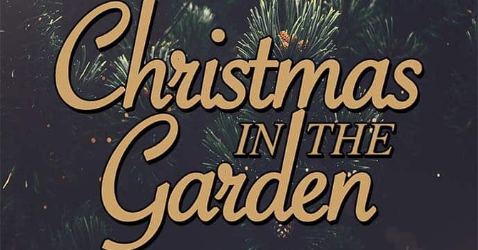 Christmas in the garden.