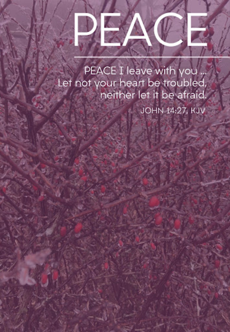 "Peace in the Valley of Bones"