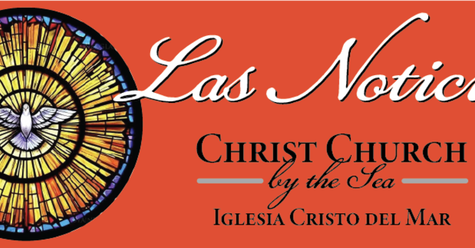 December 1, 2025 Newsletter image