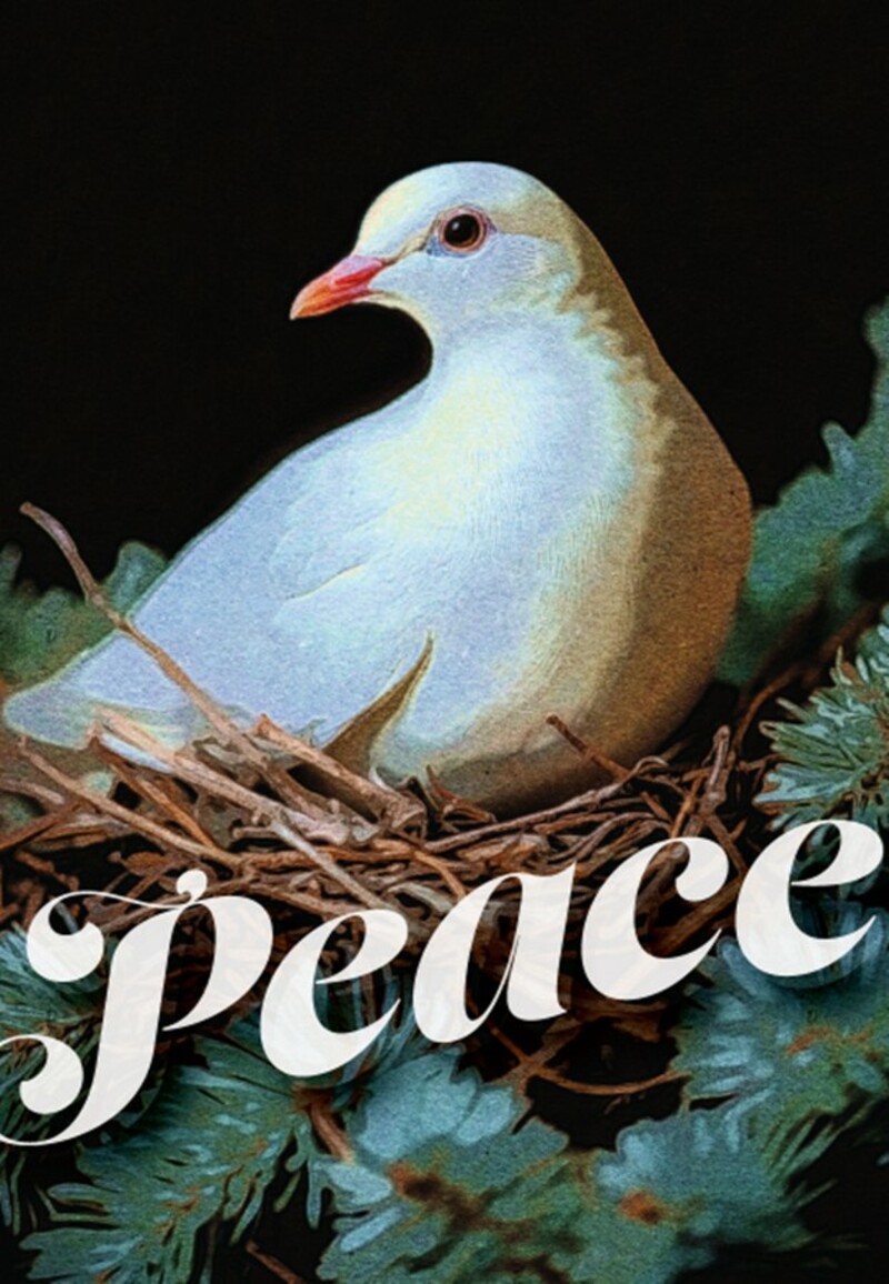 Sermon for Dec 7, 2025