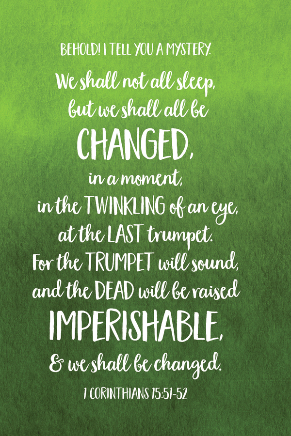 Fighter Verse | December 8, 2025