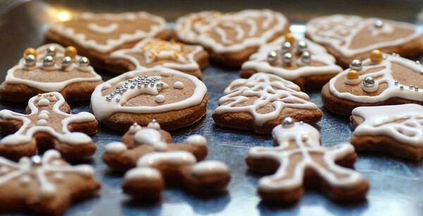 Our Partner in Mission for November and December