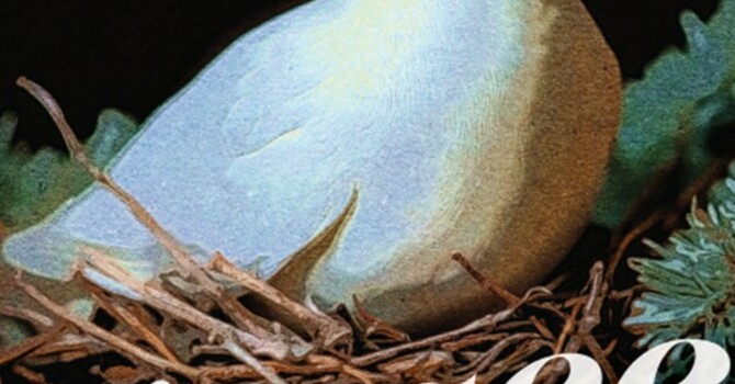 Sermon for Dec 7, 2025