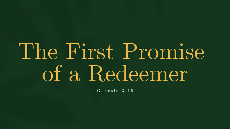 The First Promise of a Redeemer