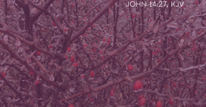 "Peace in the Valley of Bones"