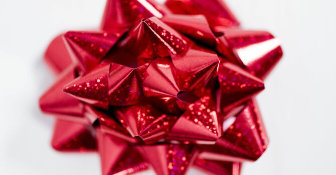 Holiday Sustainability image