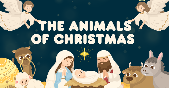 The Animals of Christmas