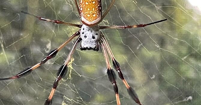 Making our tomorrows become our today... image