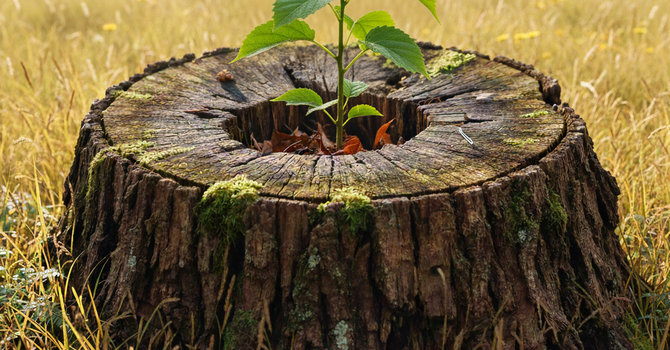 What Can't Wait: Peace