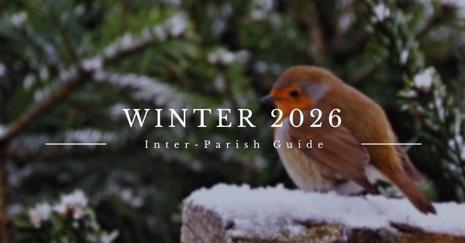 Virtual WINTER PROGRAM GUIDE is here!  image