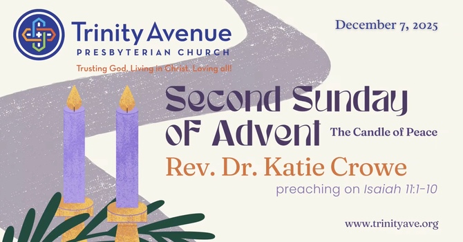 2nd Sun of Advent Dec 7