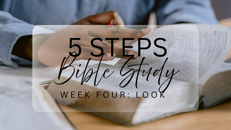 5 Steps Bible Study