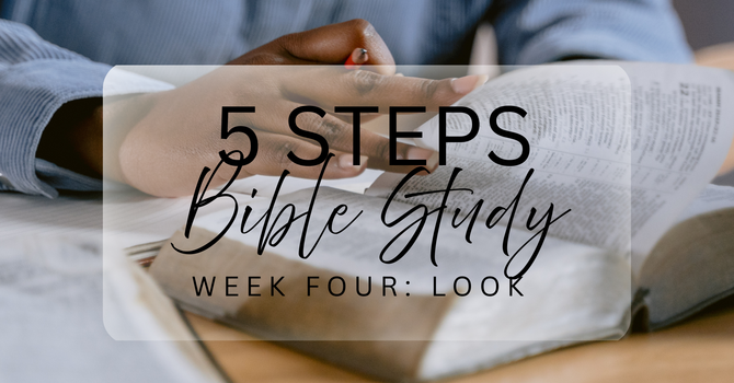 5 Steps Bible Study