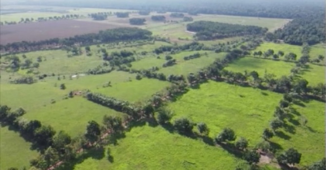 Reflections on being a virtual observer at COP 30: Climate Talks in the Amazon image