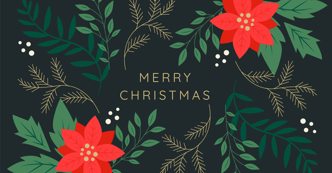 Christmas Flowers image