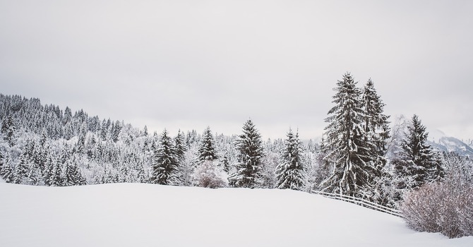 December 11, 2025 Devotion image