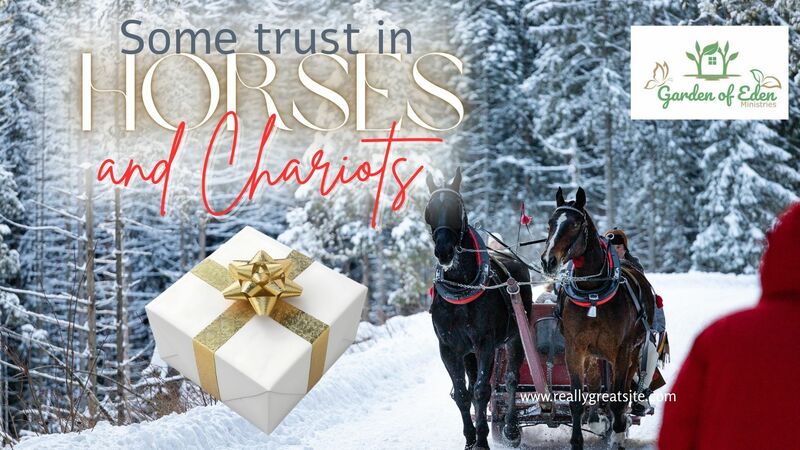 Some Trust in Horses & Chariots