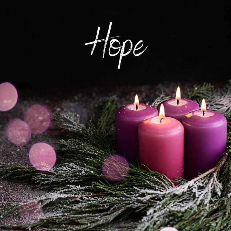 Elizabeth's Song of Hope