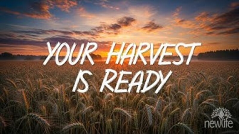 Your Harvest Is Ready
