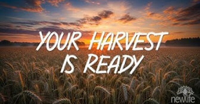 Your Harvest Is Ready