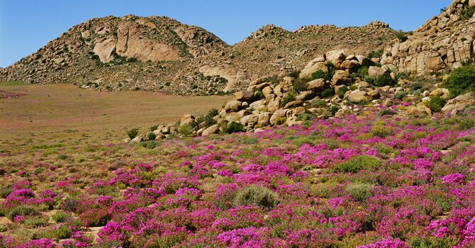 Third Sunday of Advent