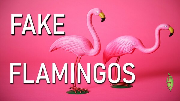 Fake Flamingos