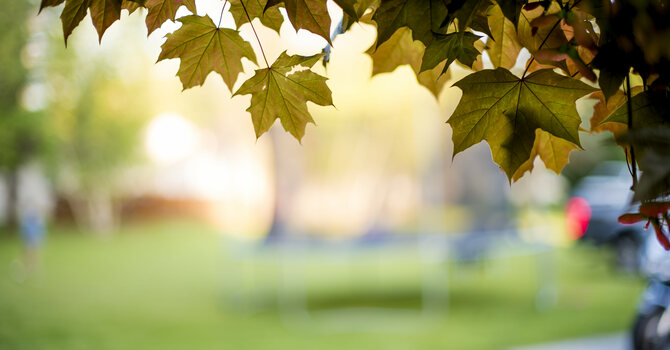 Pastor's Column image