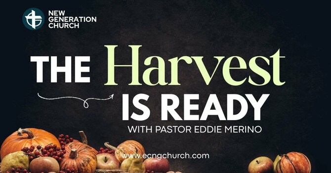 THE HARVEST IS READY