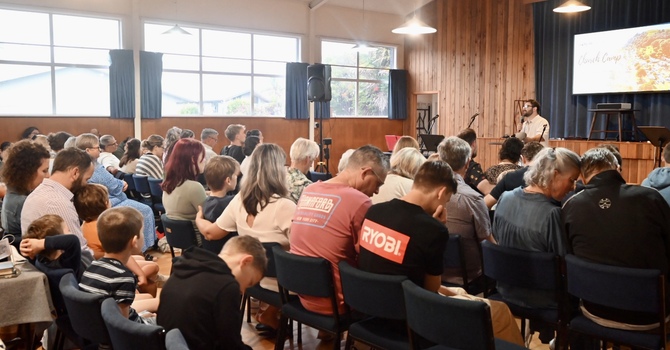 Shoreline in the Park