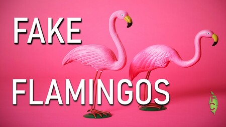 Fake Flamingos