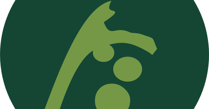 New Vine Group Semester Begins