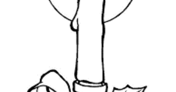 Christmas Eve Midnight Mass