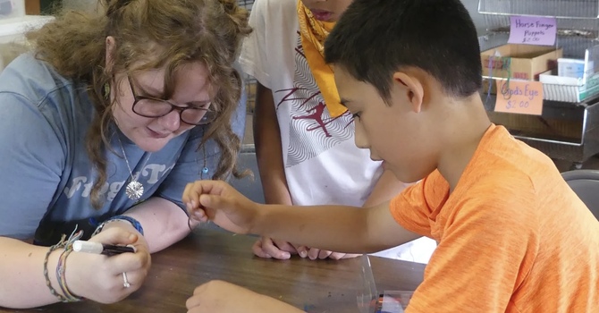 2025 Timberlake Ranch Camp image