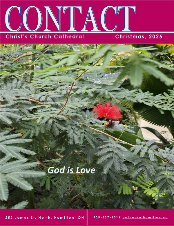 CONTACT current and previous editions now online!