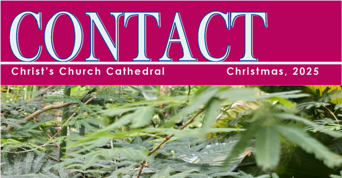 Christmas Contact  image