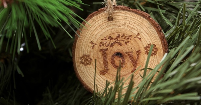 This Sunday's Readings and Order of Service image