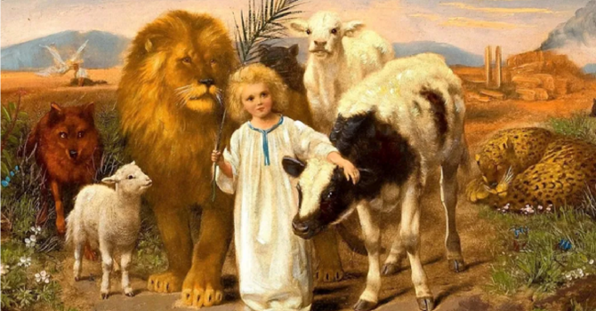 Advent - Reflection 1