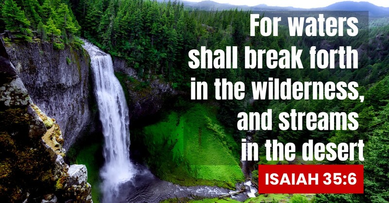 Third Sunday of Advent