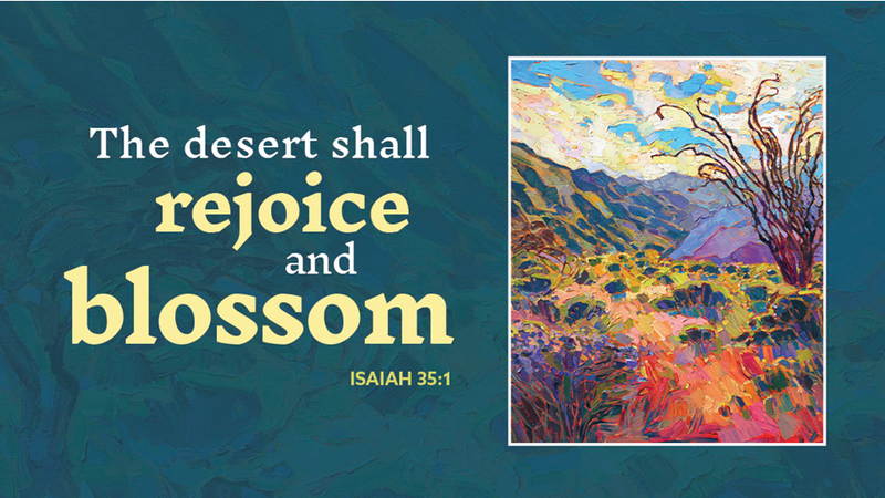 3rd Sunday of Advent