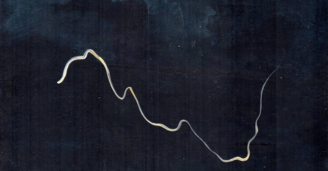 Darkness and Light Day 14 image