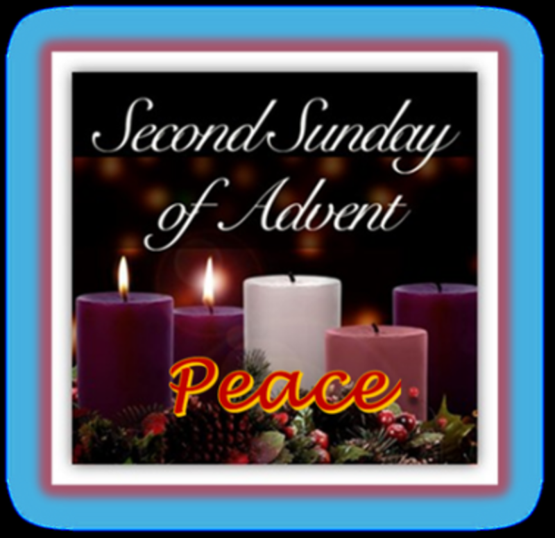 New Life from a Stump