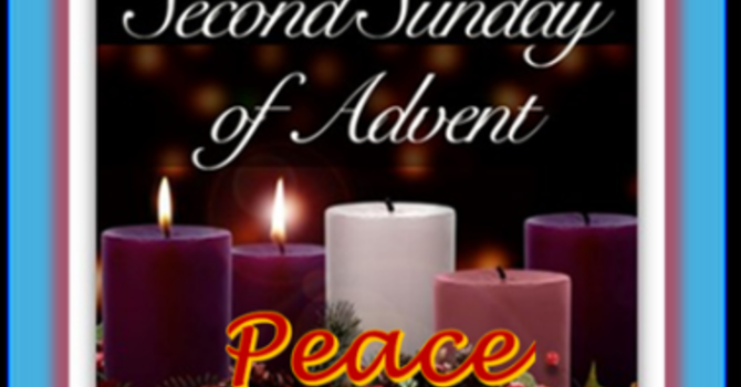 New Life from a Stump