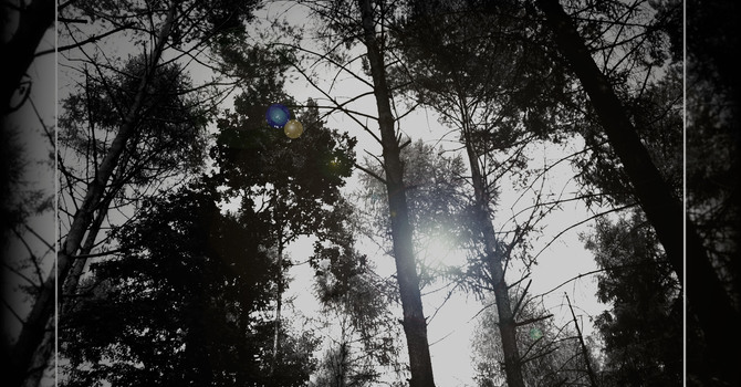 Darkness and Light Day 15 