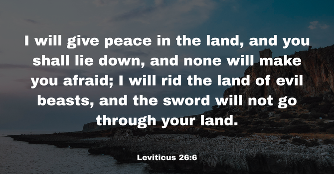 Leviticus 26:6 image