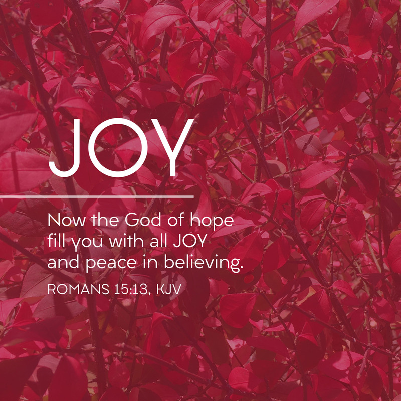 Mary's Song of Joy