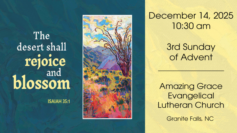 3rd Sunday of Advent