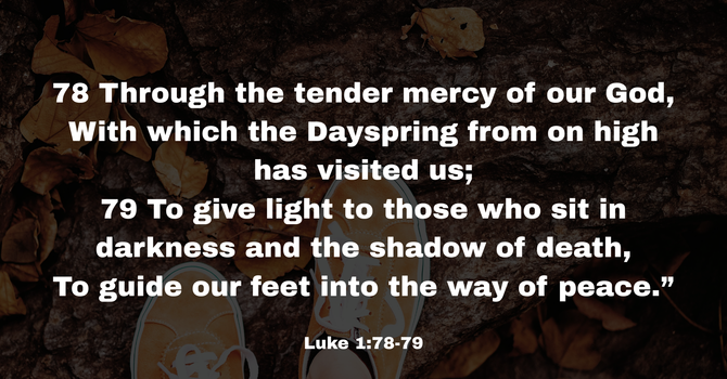 Luke 1:78-79 image